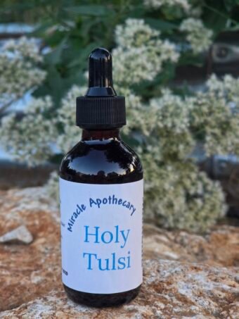 Holy Tulsi Tincture