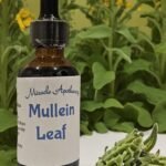 Mullein Leaf Tincture
