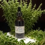Holy Tulsi Tincture