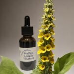 Mullein Lobelia Tincture