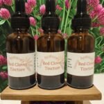 Red Clover Tincture