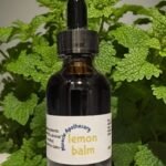 Lemon Balm Tincture