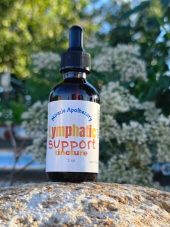 Lymphatic Support